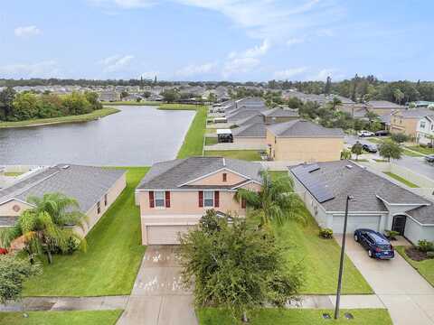 Purple Orchid, RUSKIN, FL 33570