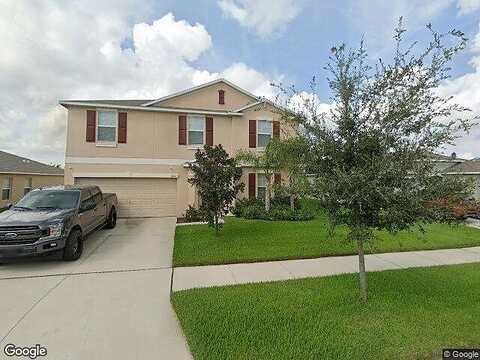 Purple Orchid, RUSKIN, FL 33570