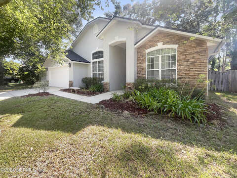 Marsh Elder, JACKSONVILLE, FL 32226