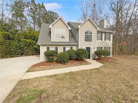 Raptor, DOUGLASVILLE, GA 30135