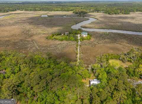 Lot 8 W Black Island, Darien, GA 31305