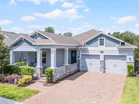 Orange Belt, WINTER GARDEN, FL 34787