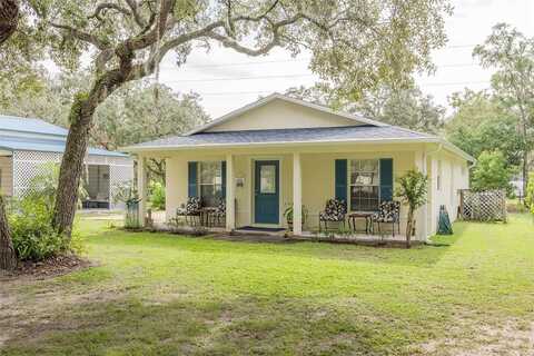 Kitten, HUDSON, FL 34669