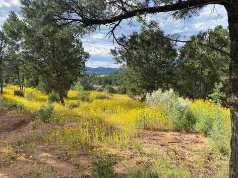 60 (Lot 5A) The Cliffs, Glorieta, NM 87535