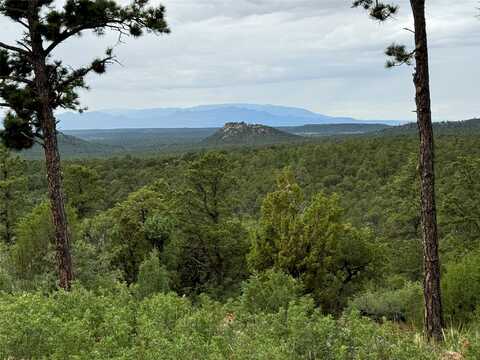 28 (lot 1) The Cliffs, Glorieta, NM 87535