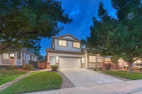 Tiger, LONE TREE, CO 80124