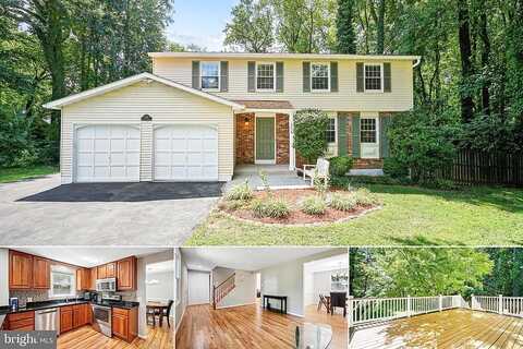 Railroad Vine, FAIRFAX, VA 22031
