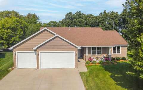 Bluebird, NEENAH, WI 54956