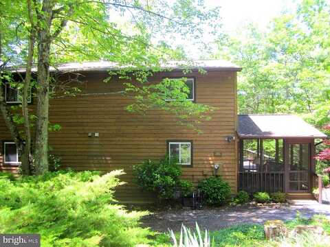Beech, MOUNT JACKSON, VA 22842