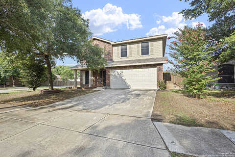 Shetland, SAN ANTONIO, TX 78254