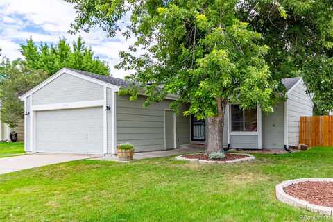 Hoyt, LITTLETON, CO 80123