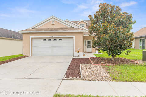 Lemon Yellow Tree, BROOKSVILLE, FL 34613