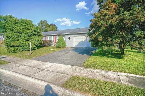 Raspberry, MECHANICSBURG, PA 17050