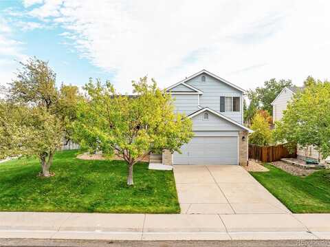 Netherland, CENTENNIAL, CO 80015