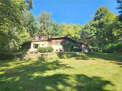 Honeysuckle, BETHLEHEM, PA 18015