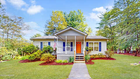 Carol, DINGMANS FERRY, PA 18328
