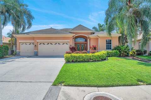 Balsaridge, TRINITY, FL 34655