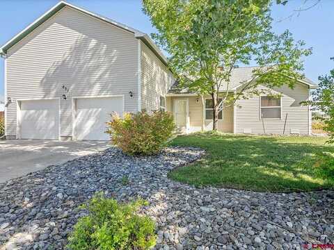 Silver, MONTROSE, CO 81401