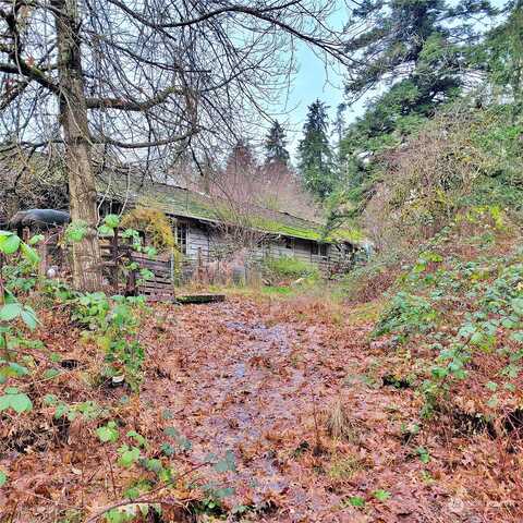Grapeview Loop, GRAPEVIEW, WA 98546