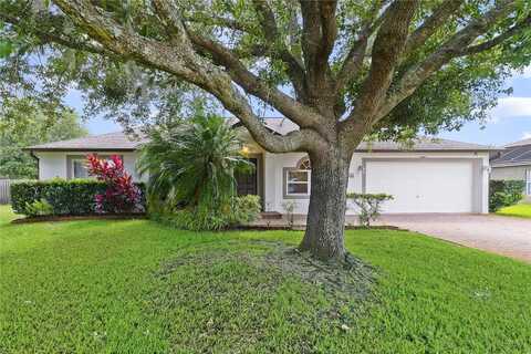 Nestling, CHULUOTA, FL 32766