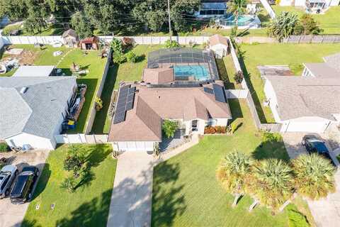 Needle Palm, EDGEWATER, FL 32141