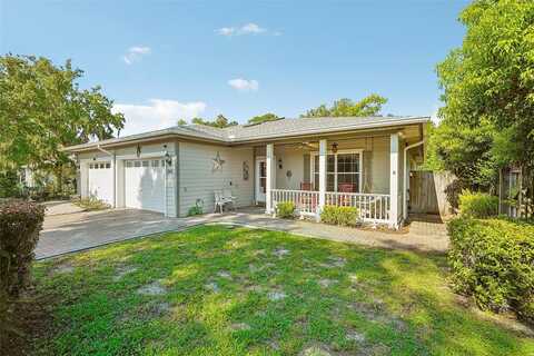 Parrotte, MOUNT DORA, FL 32757