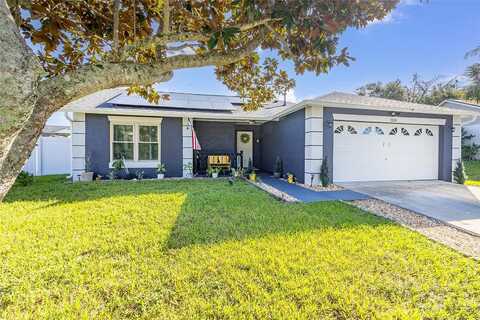 Jaffa, CLERMONT, FL 34714