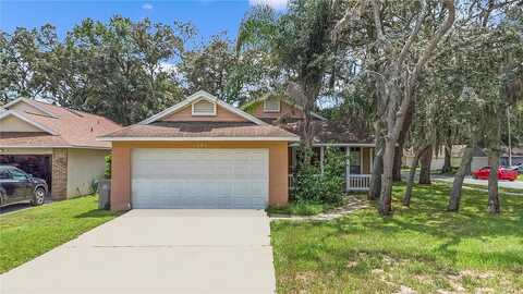 Pine, APOPKA, FL 32703