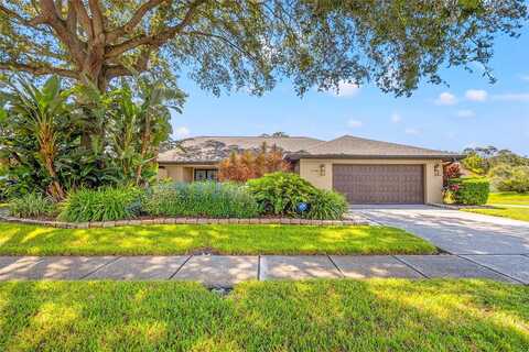El Tair, CLEARWATER, FL 33765