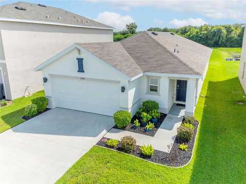Downy Birch, RIVERVIEW, FL 33569