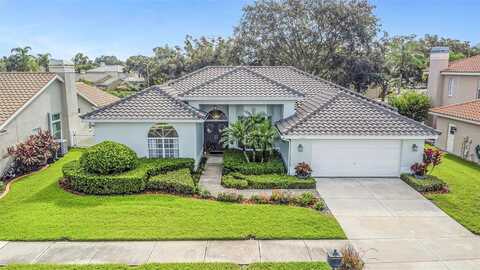 Glenn, SAFETY HARBOR, FL 34695