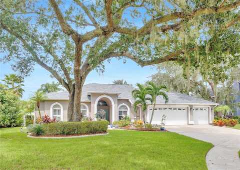 Linford, VALRICO, FL 33596