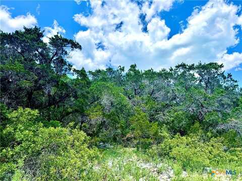 Lot 2,Unit 4 Private Rd 2771, Mico, TX 78056