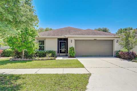 Massimo, WIMAUMA, FL 33598