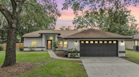 Windsor, LUTZ, FL 33559