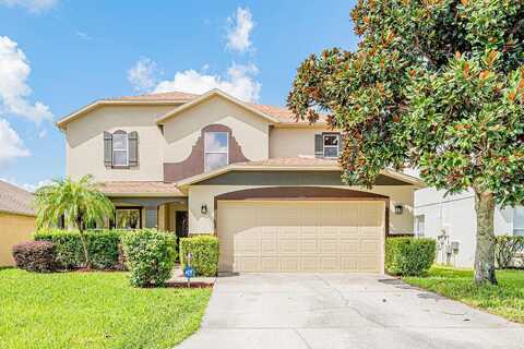 Canna, DAVENPORT, FL 33897