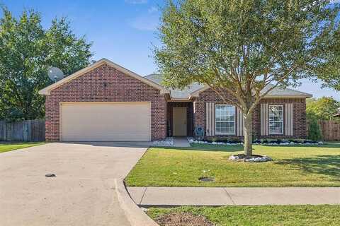 Autry, GUNTER, TX 75058