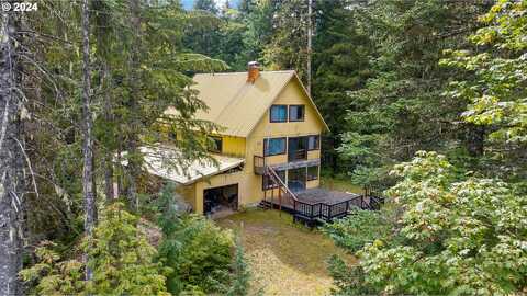 Wilderness Dr, Cougar, WA 98616