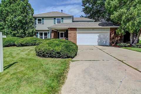 Larkspur, MIDDLETON, WI 53562