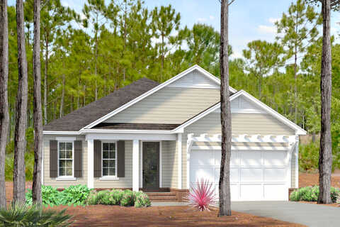 Tbd Green Heron Street #Lot 42, Watersound, FL 32461