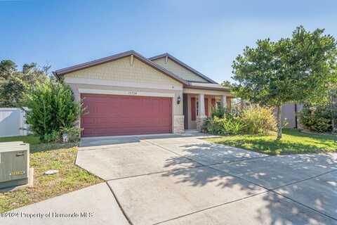 Peruvian Lilly Court, Brooksville, FL 34604