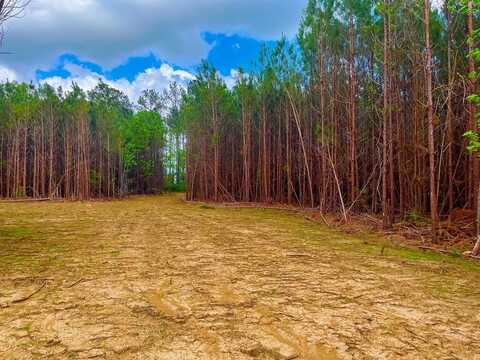 TBD Reeves Rd Se, Ruth, MS 39662