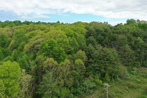 Tbd Danville Pike, Laurel Fork, VA 24352