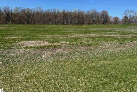Parcel 1 S Ruby Lane, Lake Leelanau, MI 49653