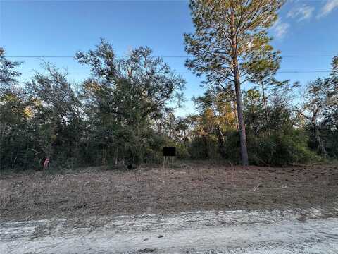 Ne 155Th Court, WILLISTON, FL 32696