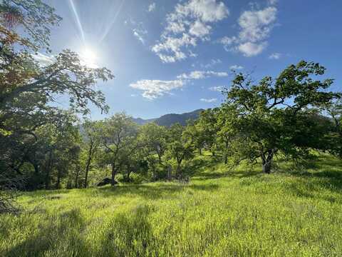 Mynatt, Three Rivers, CA 93271