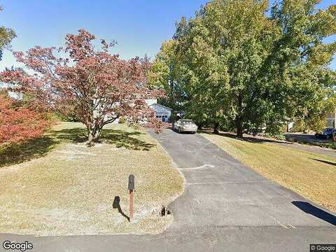 Runaway, GREAT FALLS, VA 22066