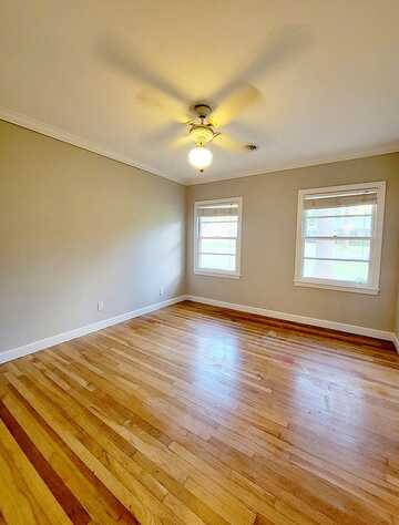 Camellia, WAYCROSS, GA 31501