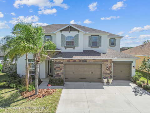 Wenlock, WESLEY CHAPEL, FL 33543