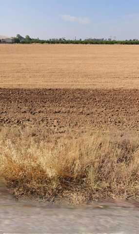 0 Ave 428, Orosi, CA 93647